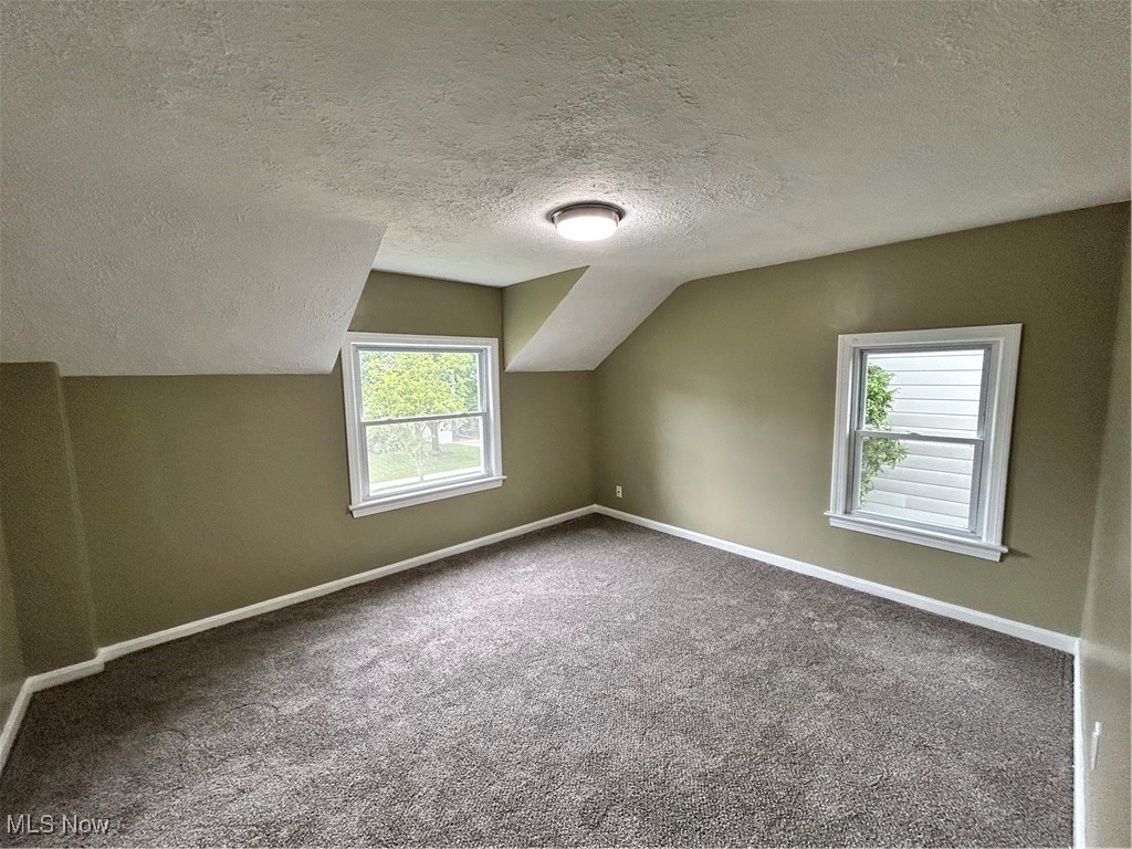 4514 Lilac Road Cleveland, OH 44121 - Photo 14 of 17