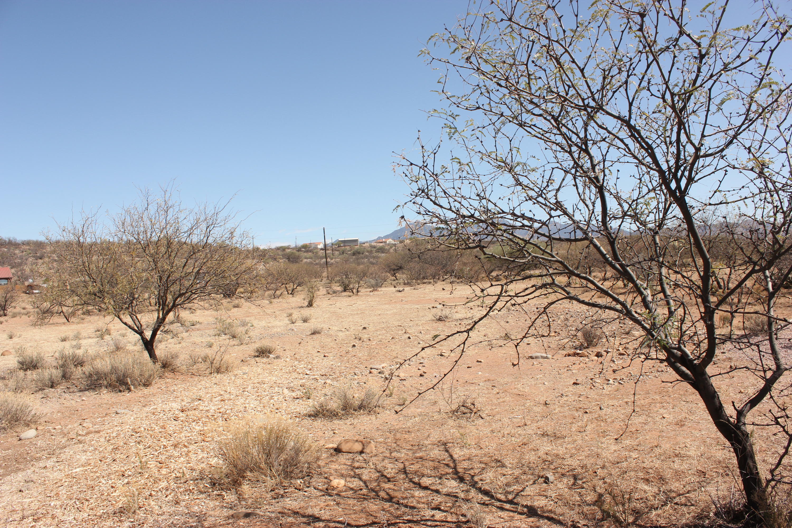 1869 Atajo Court, Unit 20 Rio Rico, AZ 85648 - Photo 3 of 3