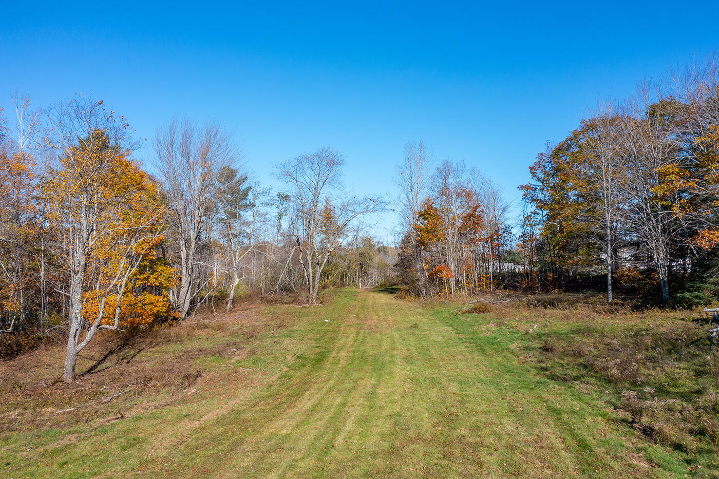 49 South Main Street Morrill, ME 04952 - Photo 49 of 58 Lawn area behind house by pond