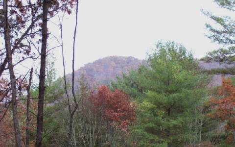 Lot 9 Raven Ridge Mineral Bluff, GA 30559 - Photo 1 of 1 Main View