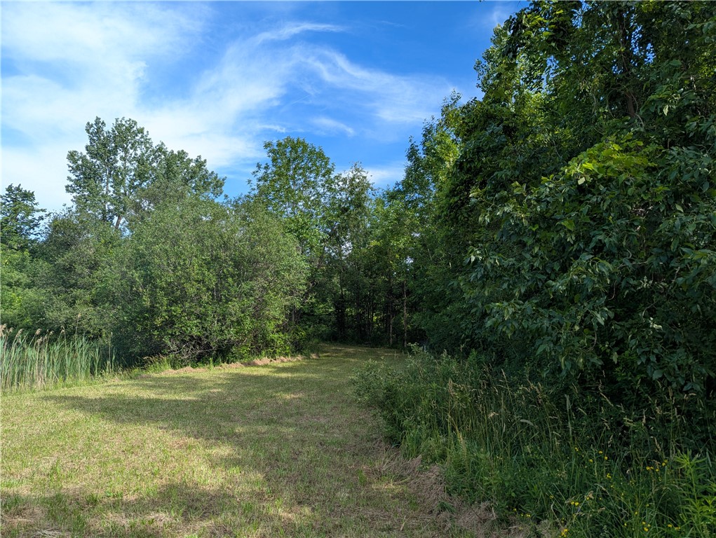 3512 Densmore Road Albion, NY 14411 - Photo 5 of 19