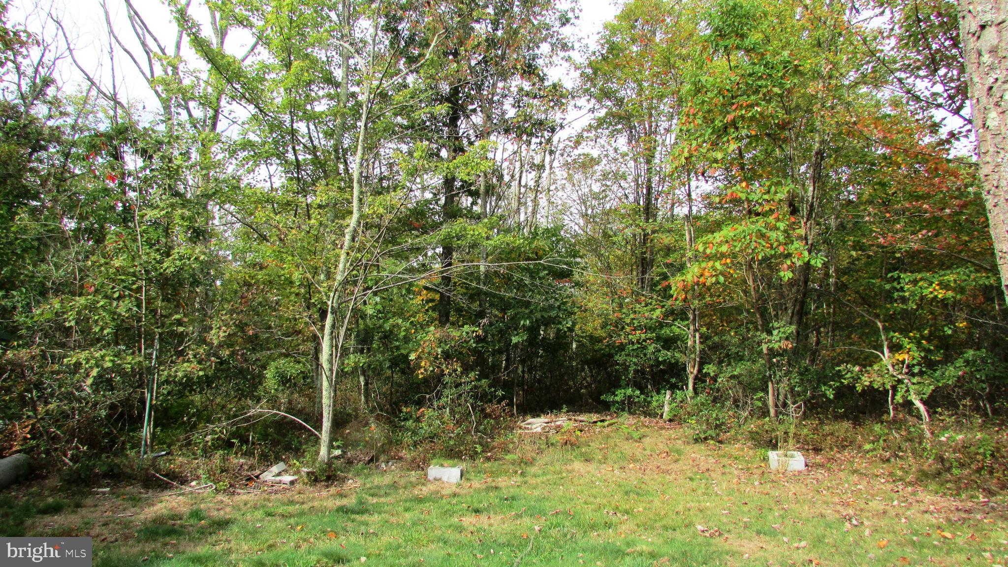 105 Big Run Road Howard, PA 16841 - Photo 27 of 37 Gallery Image 27