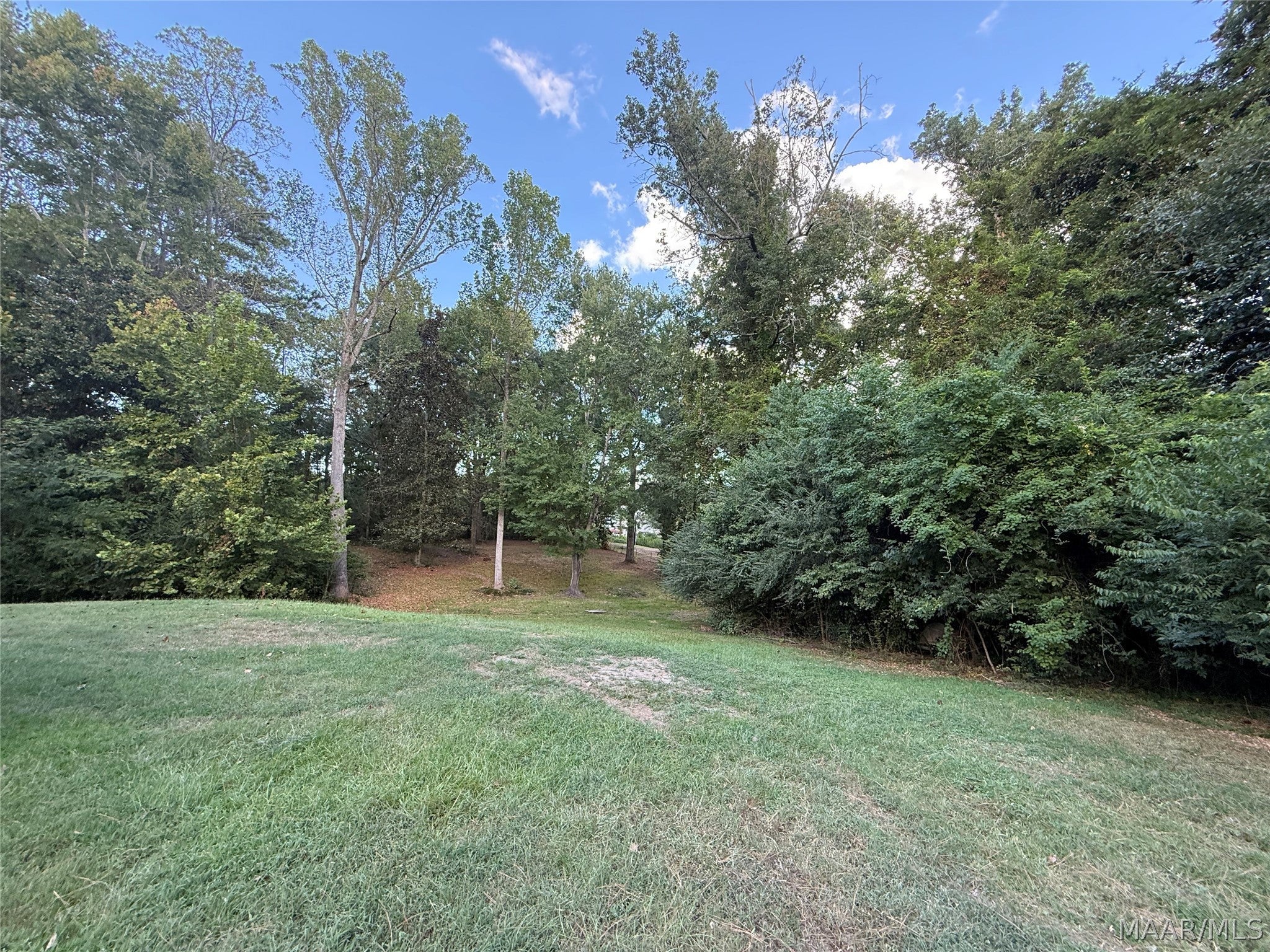 302 Kowaliga Road Eclectic, AL 36024 - Photo 21 of 51 Gallery Image 21