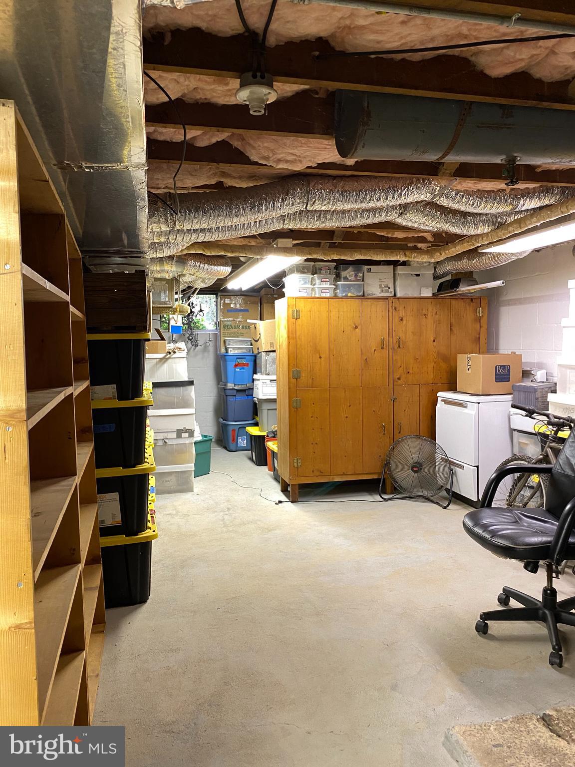 8618 Yellow Springs Road Frederick, MD 21702 - Photo 43 of 58 Lower Level Storage