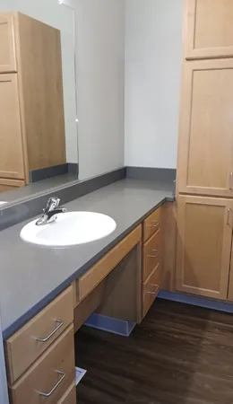 a bathroom with a sink and a mirror