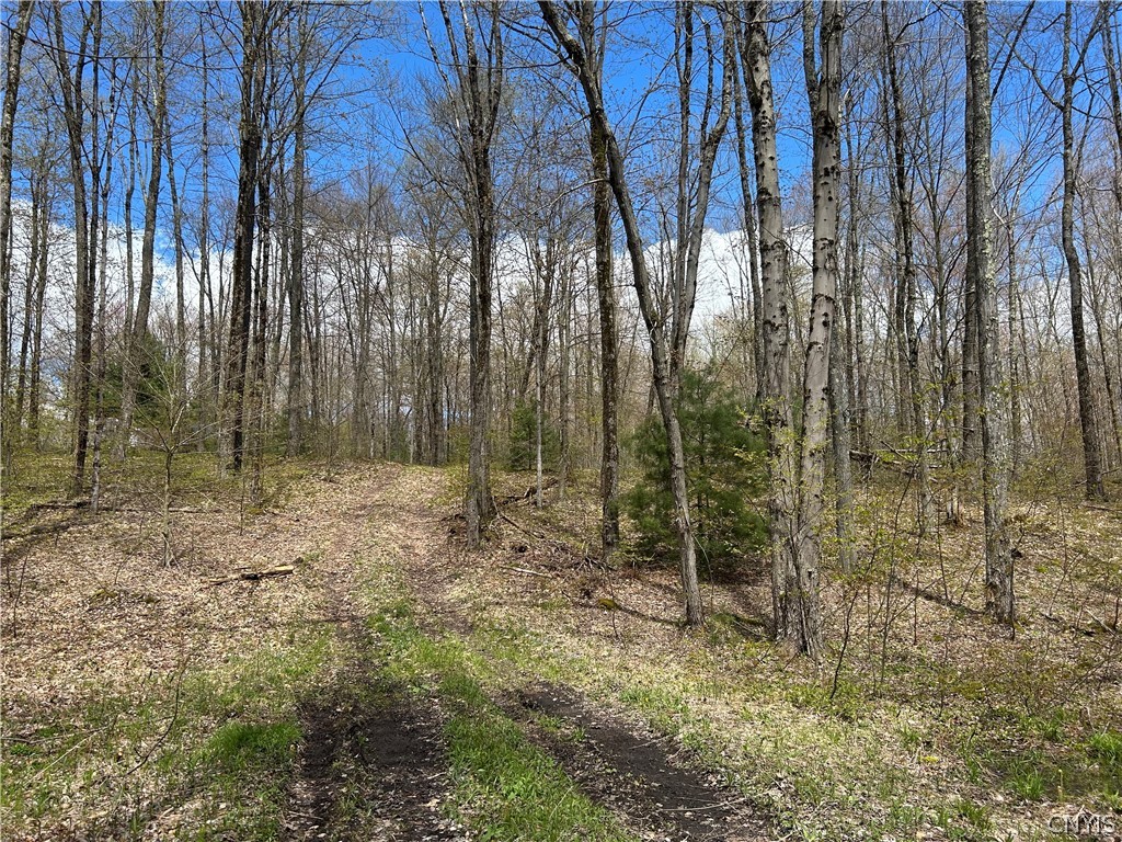0 North Hillsborough Road Camden, NY 13316 - Photo 5 of 8