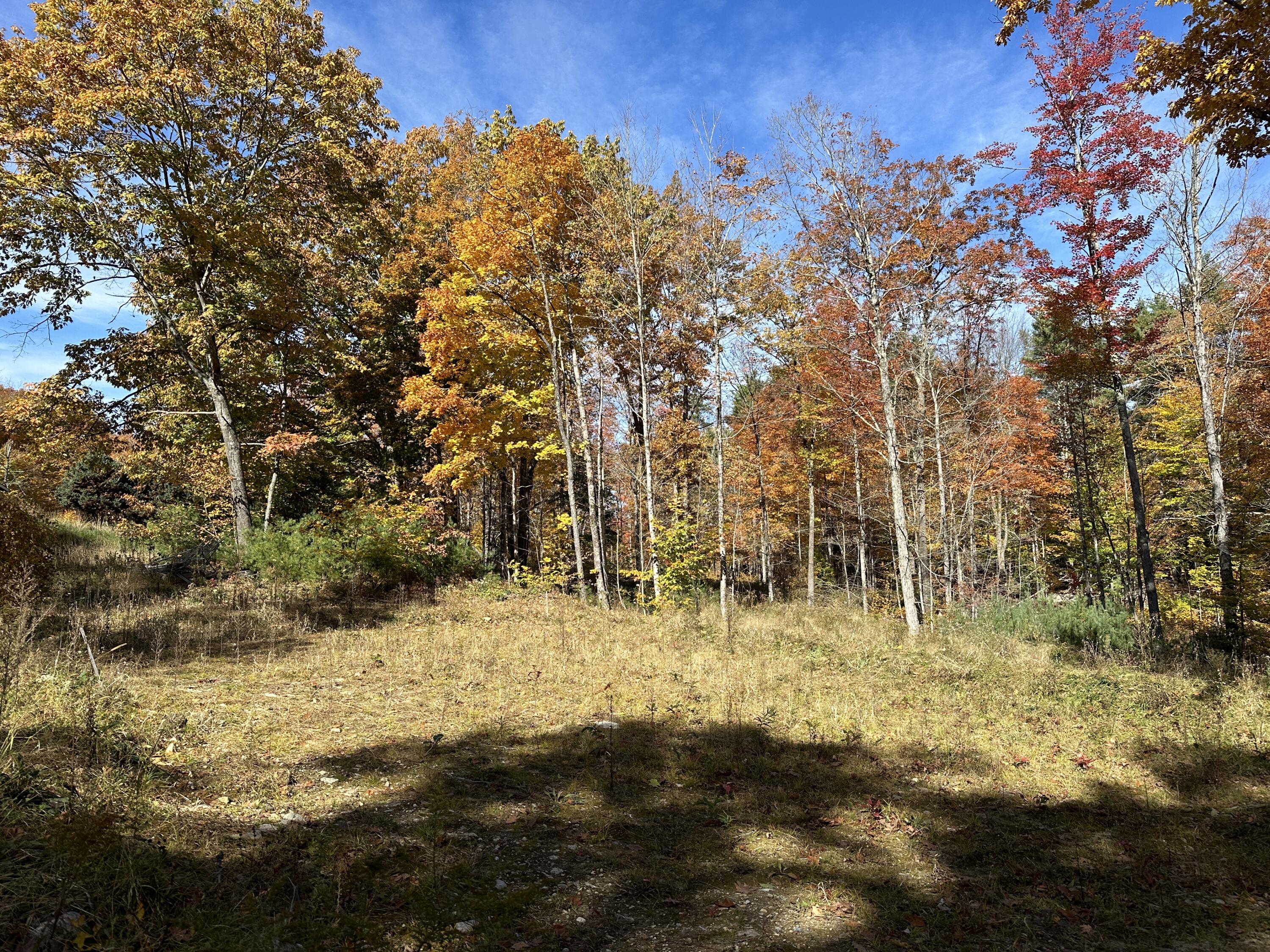Lot 46 Acton Ridge Road Acton, ME 04001 - Photo 5 of 22 IMG_1969