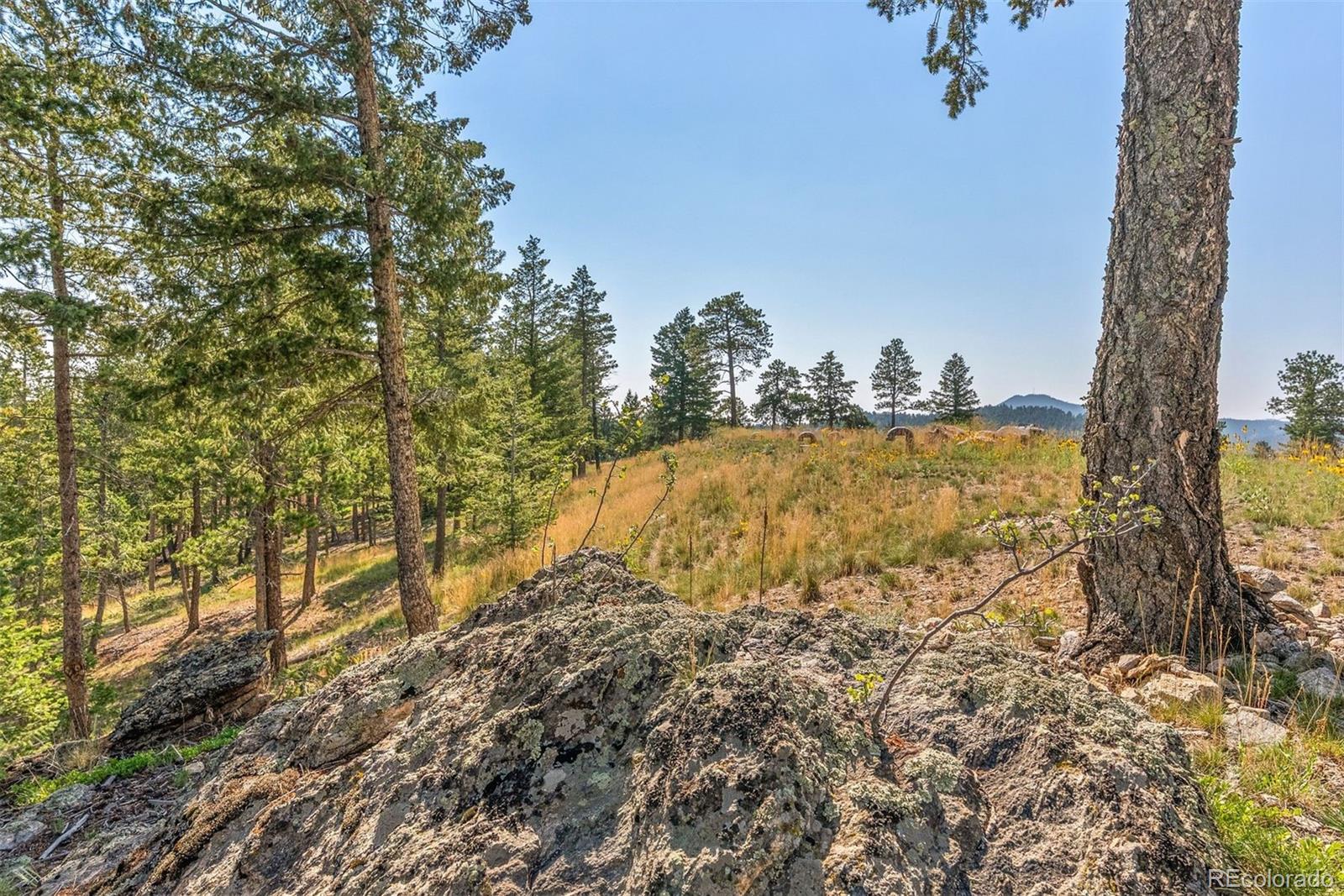 6371 Canyon Creek Road Evergreen, CO 80439 - Photo 45 of 50