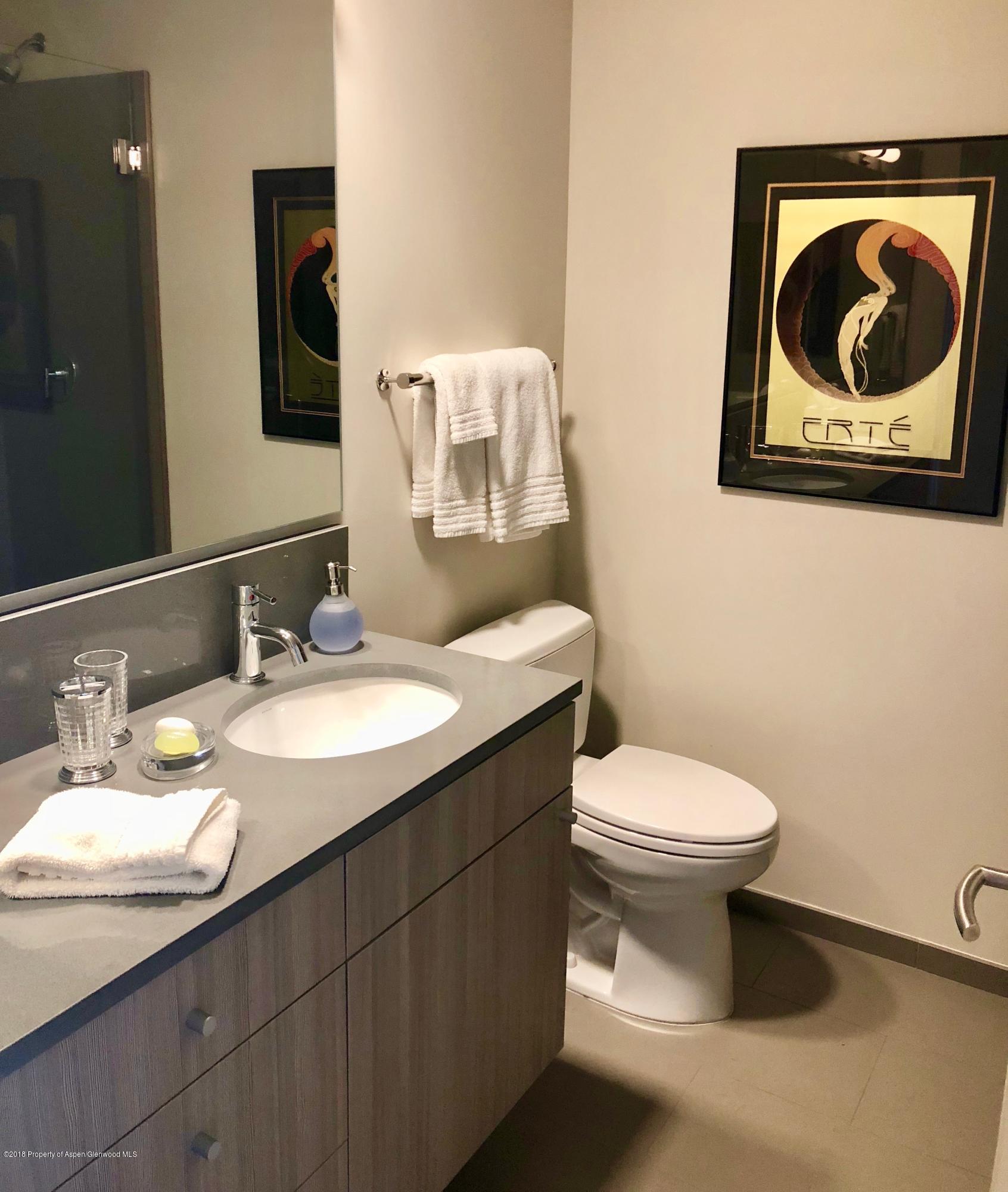 104 Evans Road, Unit 104 Basalt, CO 81621 - Photo 7 of 20 a bathroom with a toilet sink and mirror