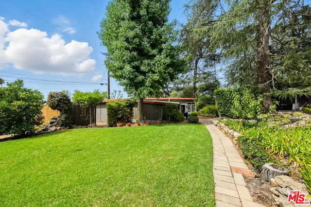 a view of a backyard with potted plants and large trees