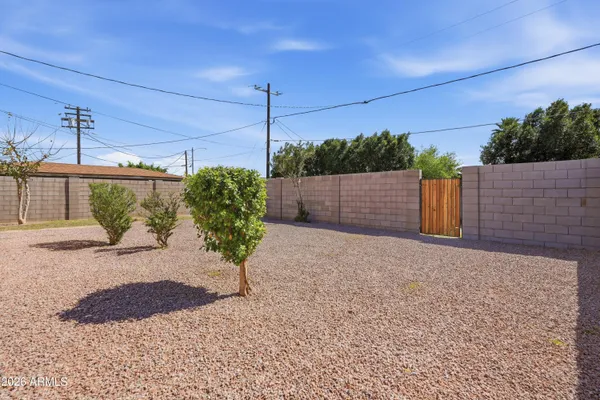a view of a backyard