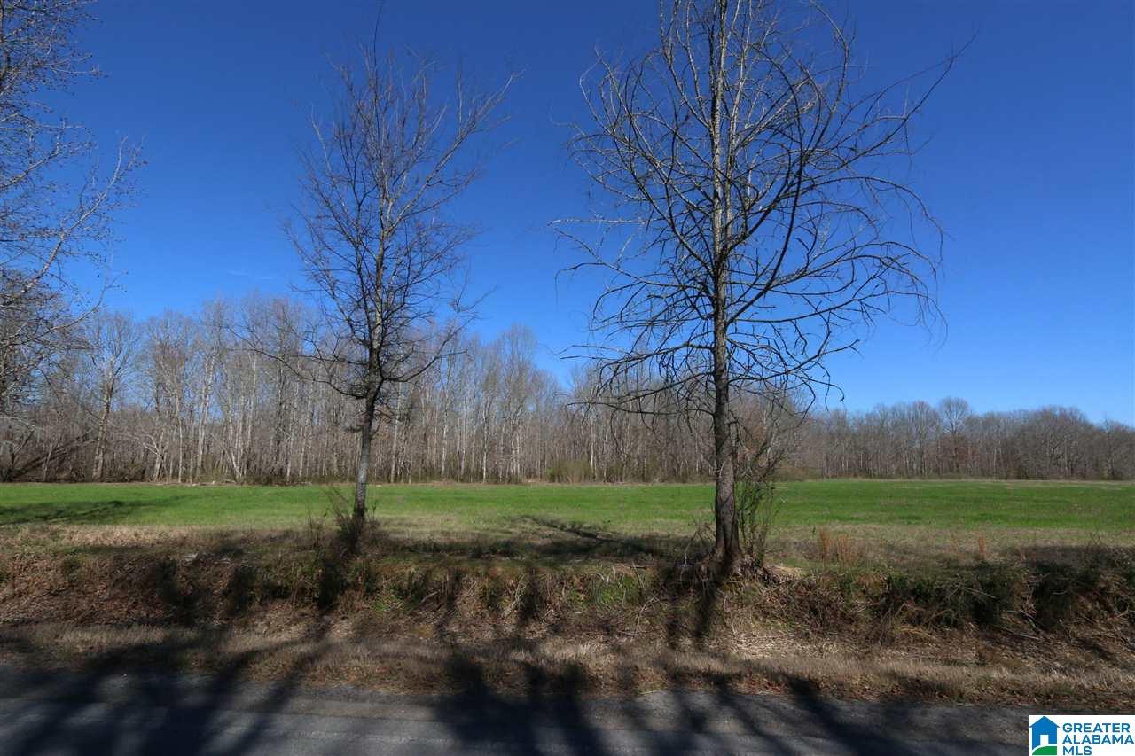 0 Double Bridge Road, Unit 286 Ashville, AL 35953 - Photo 29 of 34