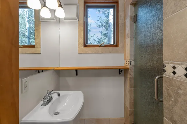 a bathroom with a sink a mirror and a shower