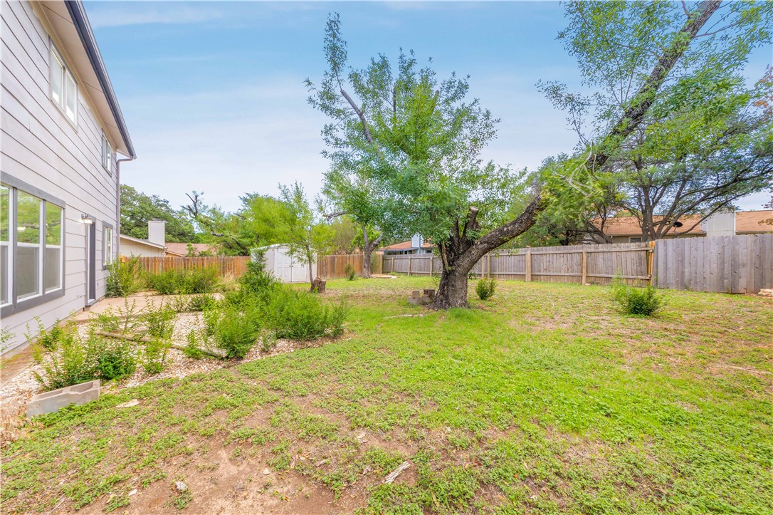 3901 Skipton Drive Austin, TX 78727 - Photo 20 of 21 a view of a yard with plants and large trees