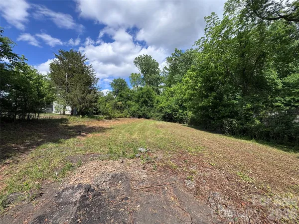 a view of a yard with a tree