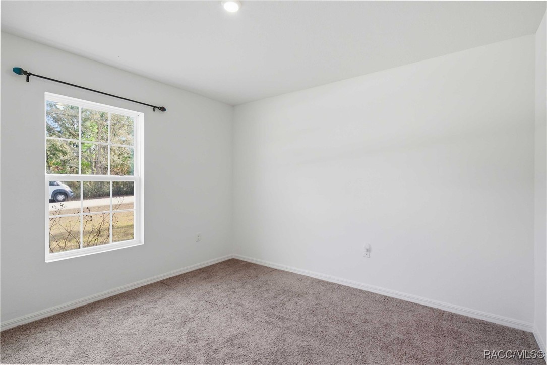 16287 Little Auk Road Weeki Wachee, FL 34614 - Photo 36 of 52