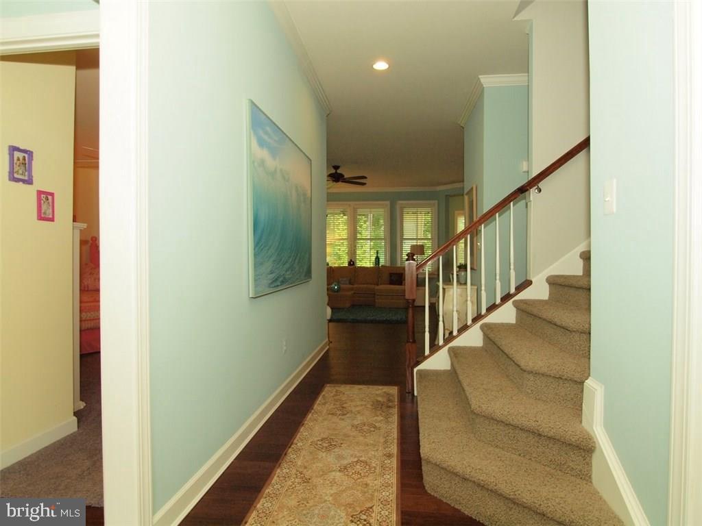 31050 Scissorbill Road Ocean View, DE 19970 - Photo 27 of 31 Gallery Image 27