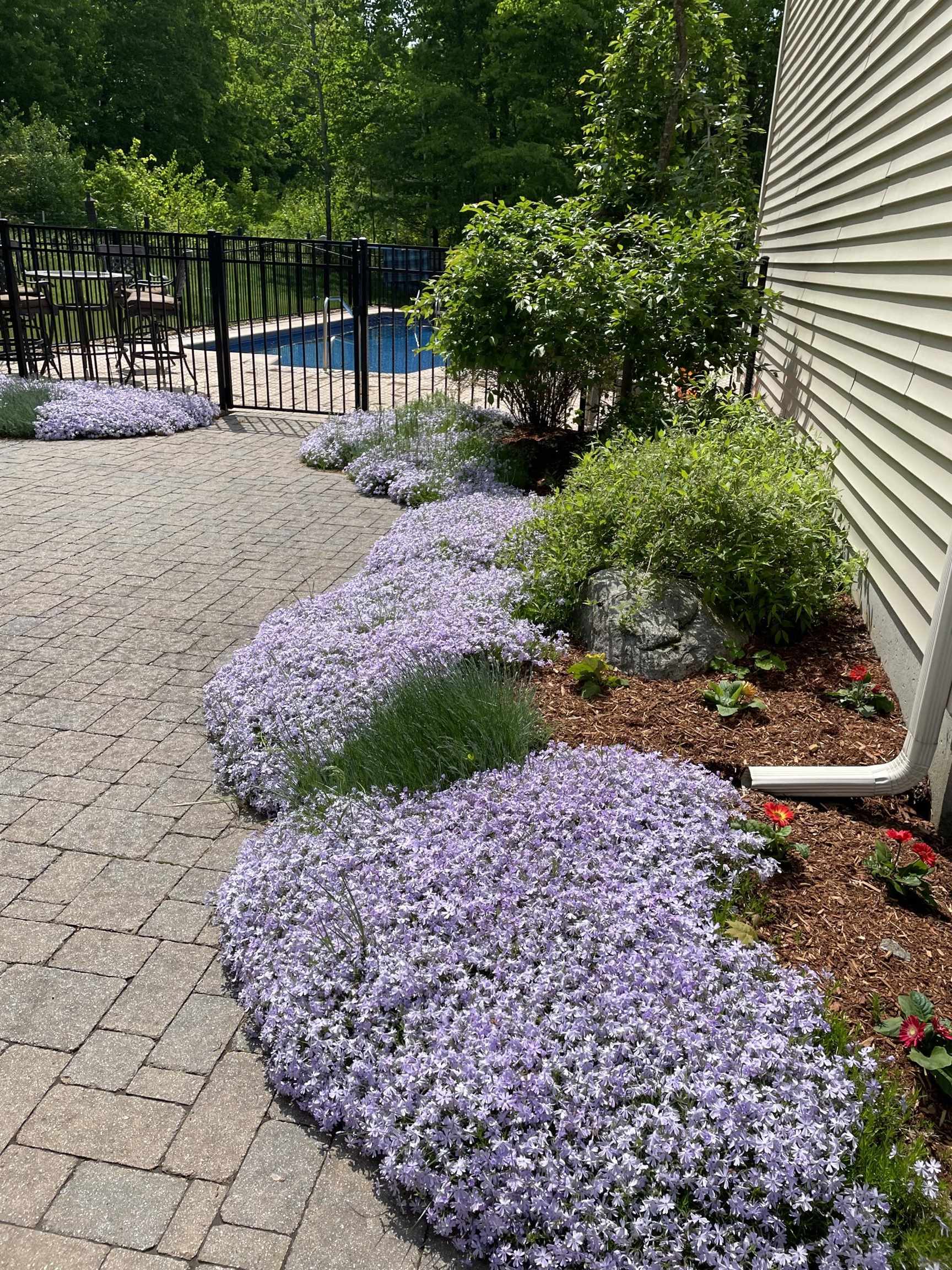 5 Thistle Lane Hooksett, NH 03106 - Photo 61 of 61