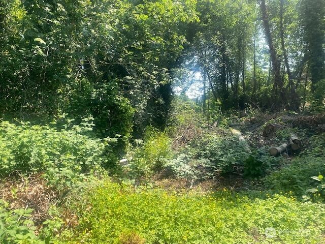 0 Arrowsmith Avenue South Seattle, WA 98118 - Photo 2 of 5