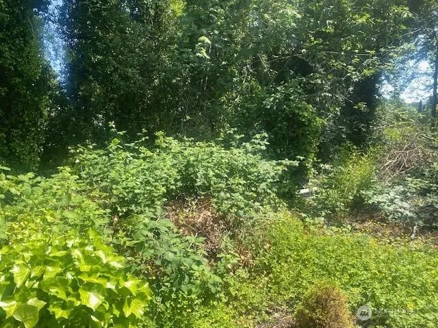 $195,000 | 0 Arrowsmith Avenue South, Seattle, WA 98118