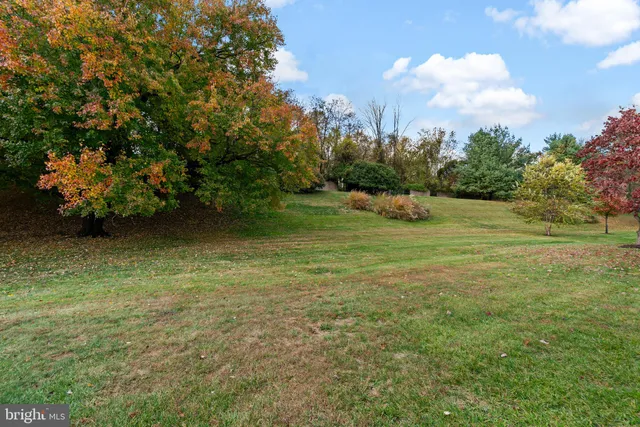 a view of an outdoor space and yard