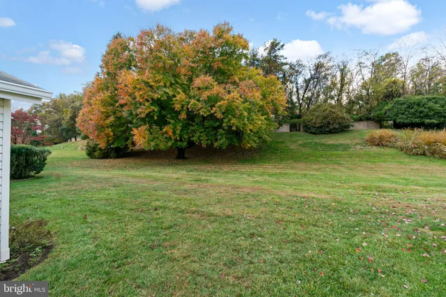 a view of a field of grass and trees