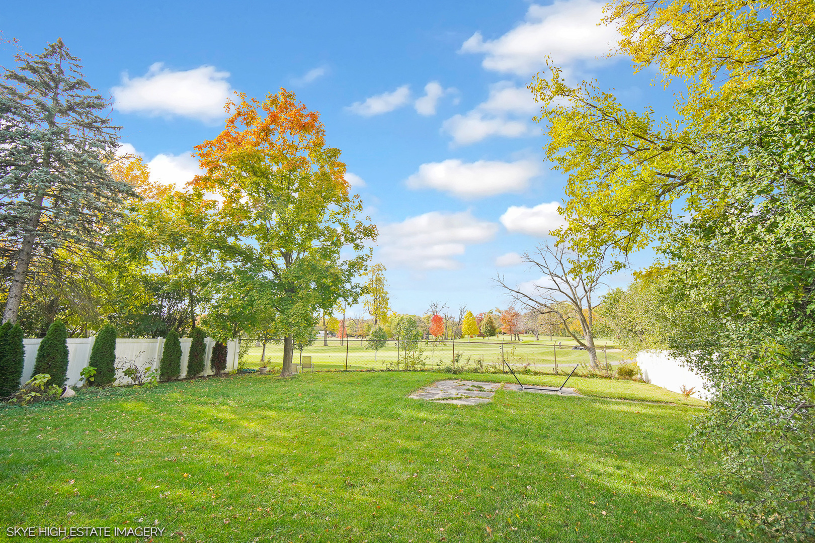 2163 Chestnut Road Homewood, IL 60430 - Photo 30 of 31 a view of a trees with a big yard