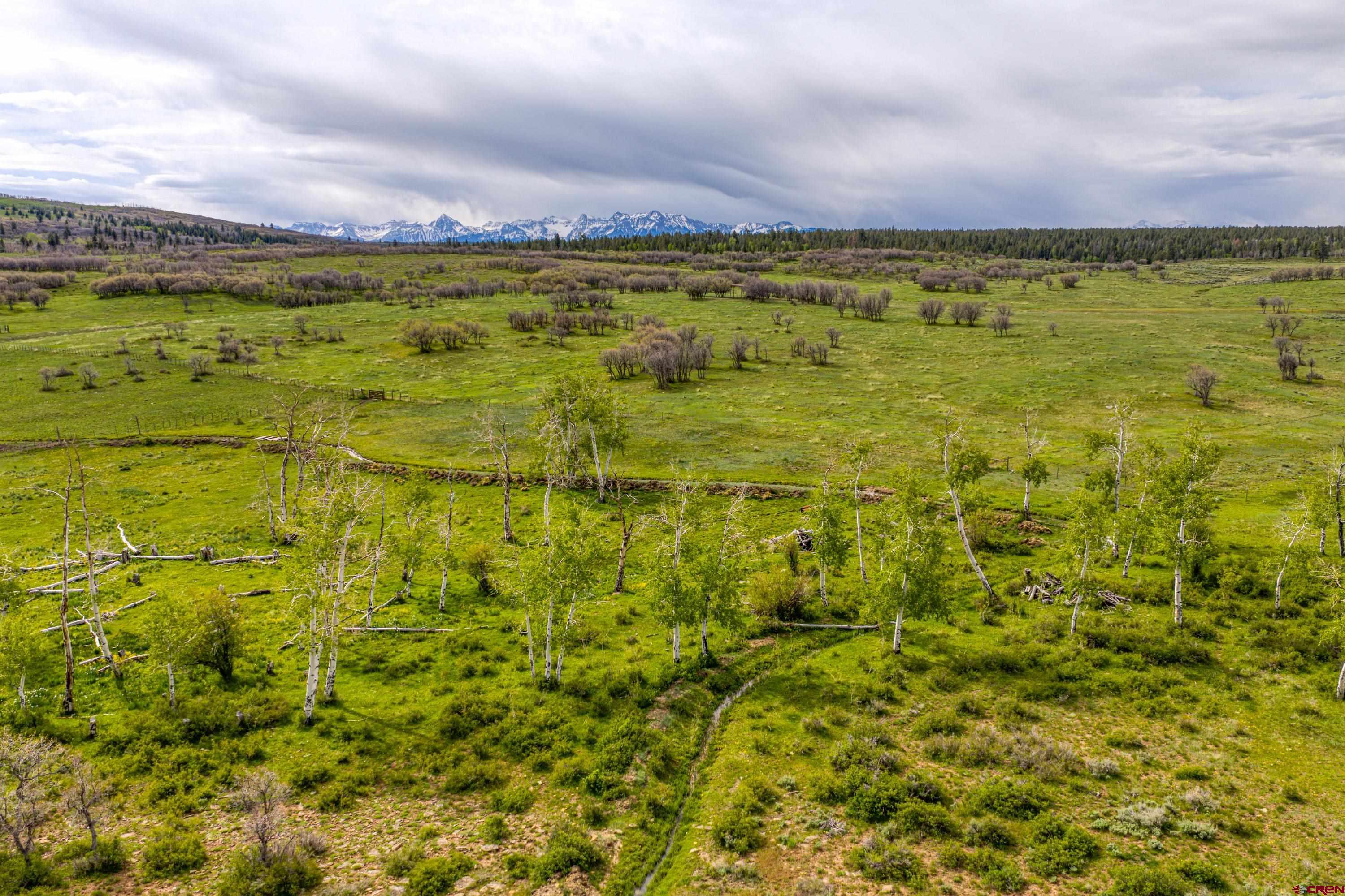 Tbd Hanks Valley Road Montrose, CO 81403 - Photo 21 of 45
