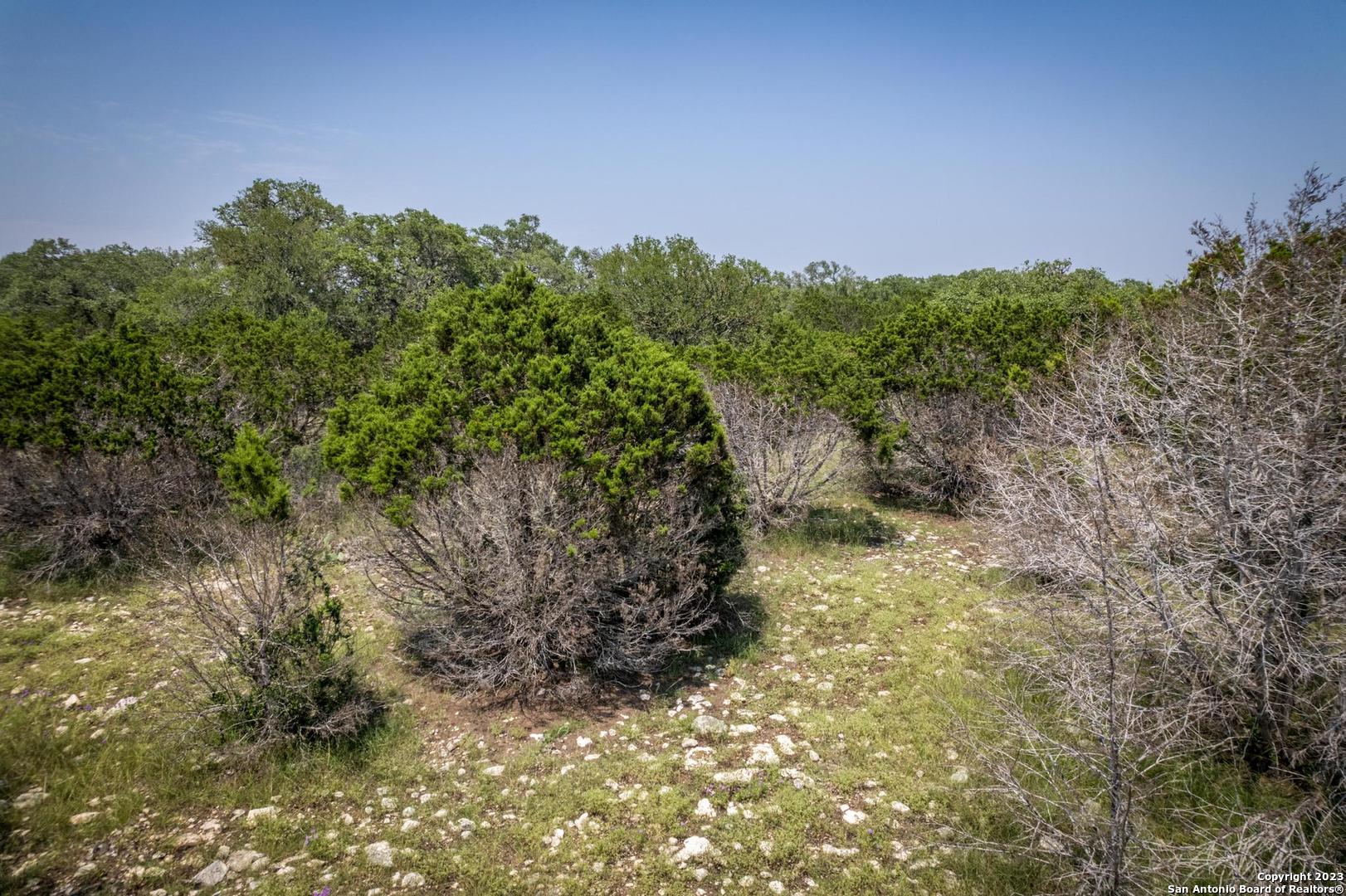 Lot 12 Rio Azul Pipe Creek, TX 78063 - Photo 20 of 30 a view of a yard with plants and a tree