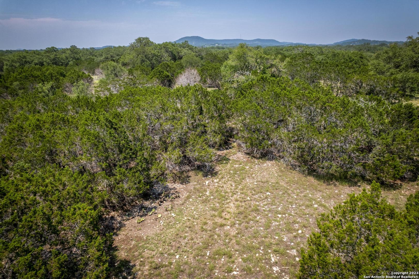 Lot 12 Rio Azul Pipe Creek, TX 78063 - Photo 27 of 30 a view of a bunch of trees and bushes