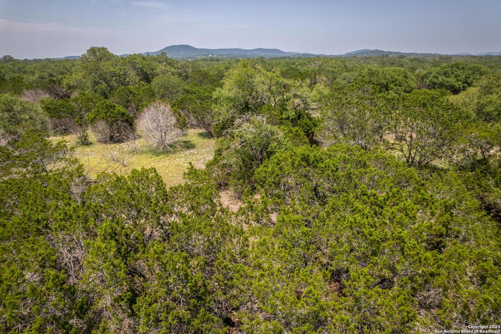 Lot 12 Rio Azul Pipe Creek, TX 78063 - Photo 28 of 30 a view of a lush green forest with a mountain