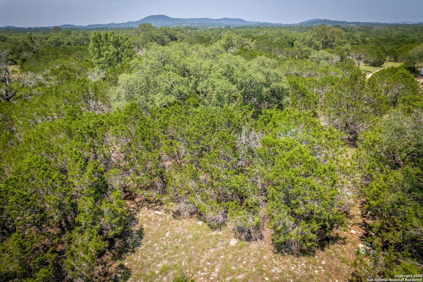 Lot 12 Rio Azul Pipe Creek, TX 78063 - Photo 30 of 30 a view of a lush green forest with a houses