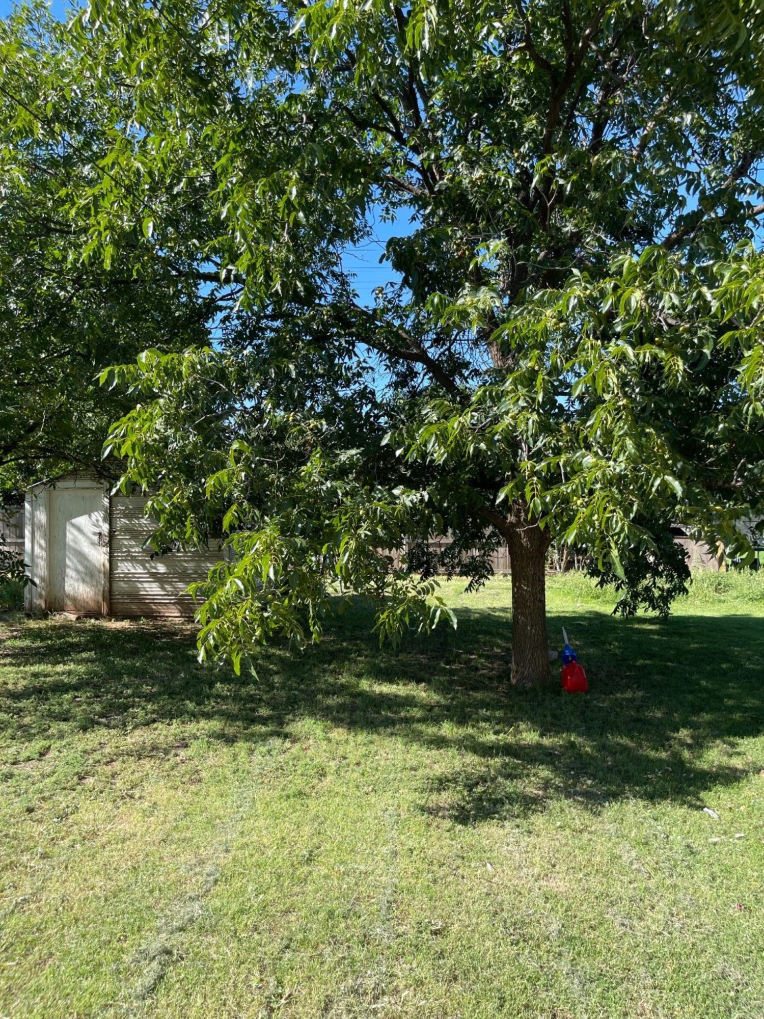 2520 38th Street Lubbock, TX 79413 - Photo 5 of 14 Photo 5