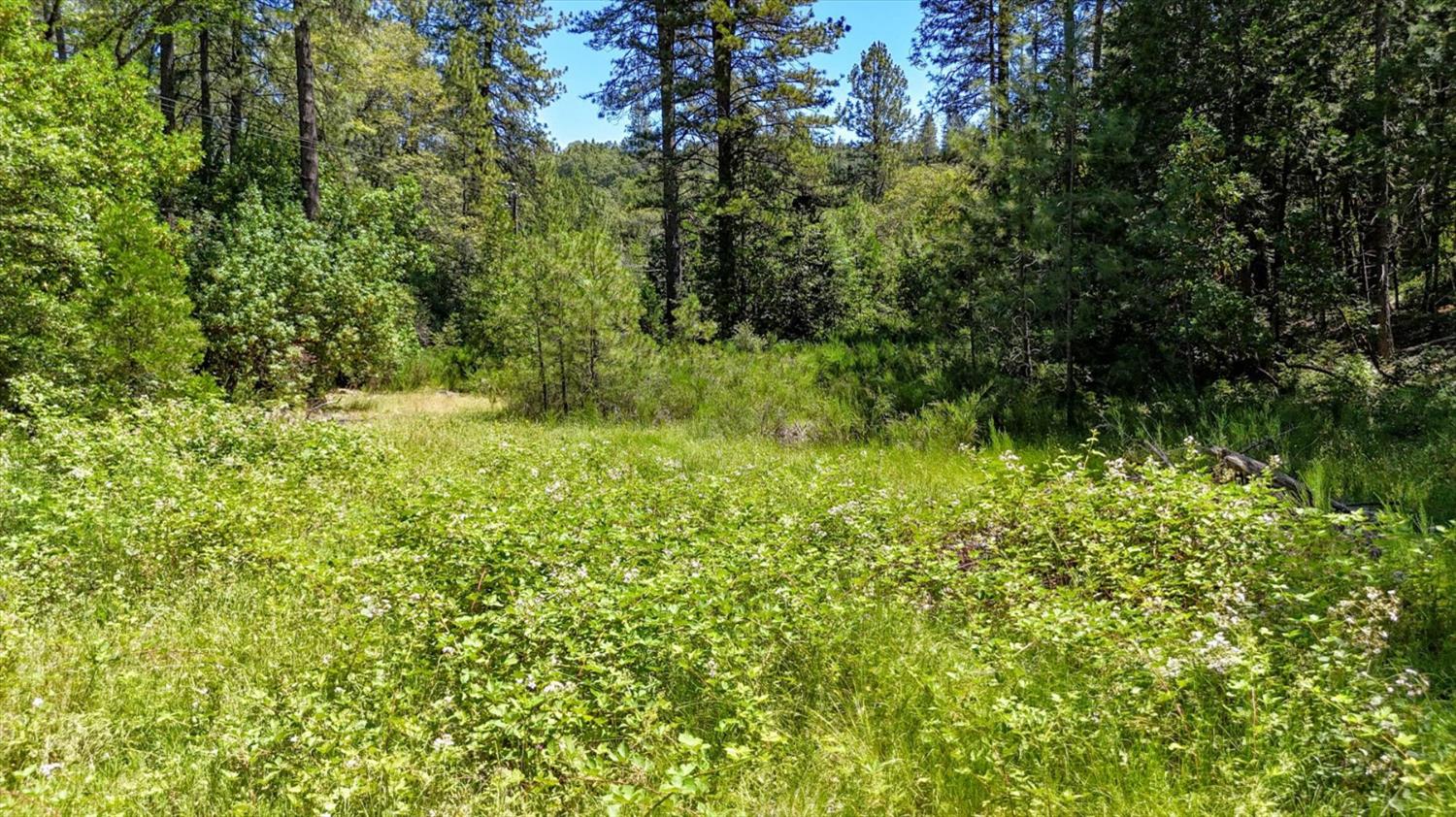 12666 Robinson Road Nevada City, CA 95959 - Photo 53 of 72