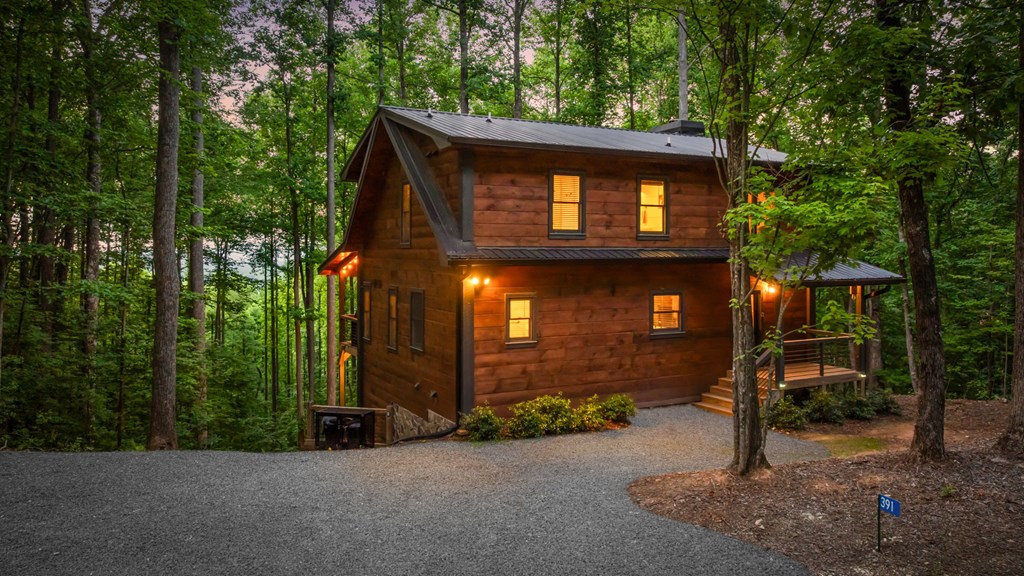 391 Little Bushy Head Road Blue Ridge, GA 30513 - Photo 70 of 72