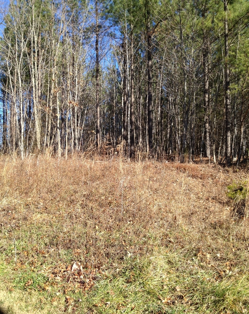 Lot 1 Alean Road Boones Mill, VA 24065 - Photo 3 of 3 photo (37)