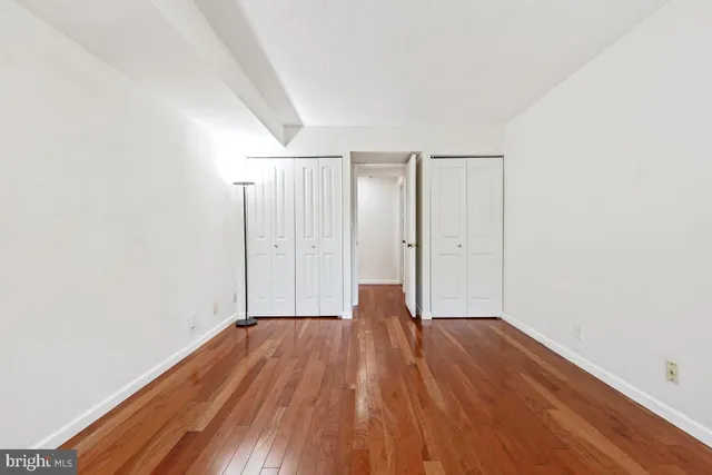 a view of a yard with plants and trees