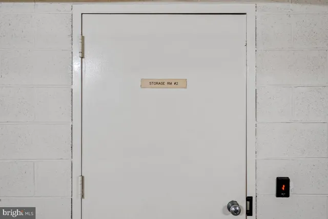 a view of a garden with plants