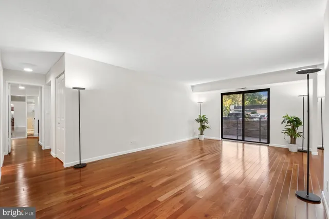 a view of a room with wooden floor and potted plant