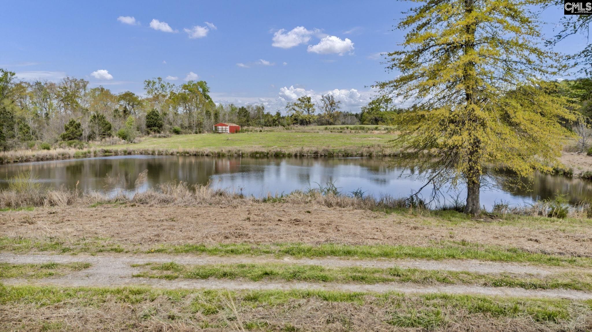 421-0 Shore Road Gilbert, SC 29054 - Photo 16 of 57