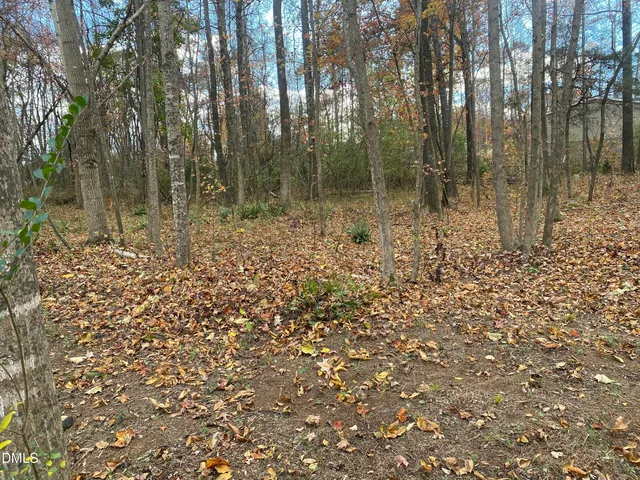 a view of a swimming pool with a yard