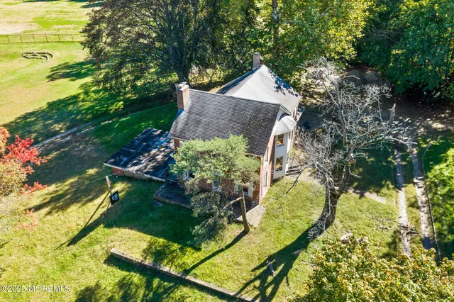 a view of a yard with plants and large trees