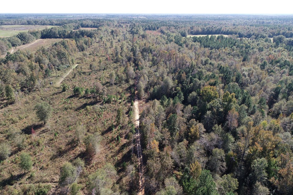 4873 West Quaker Road Keysville, GA 30816 - Photo 28 of 44 Gallery Image 28
