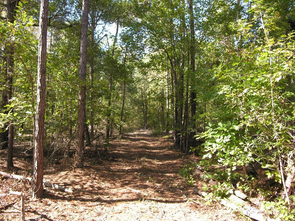 4873 West Quaker Road Keysville, GA 30816 - Photo 35 of 44 Gallery Image 35