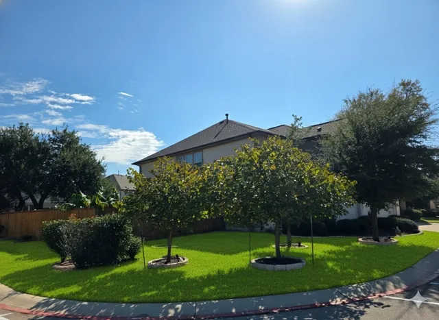 a park with lots of plants and trees
