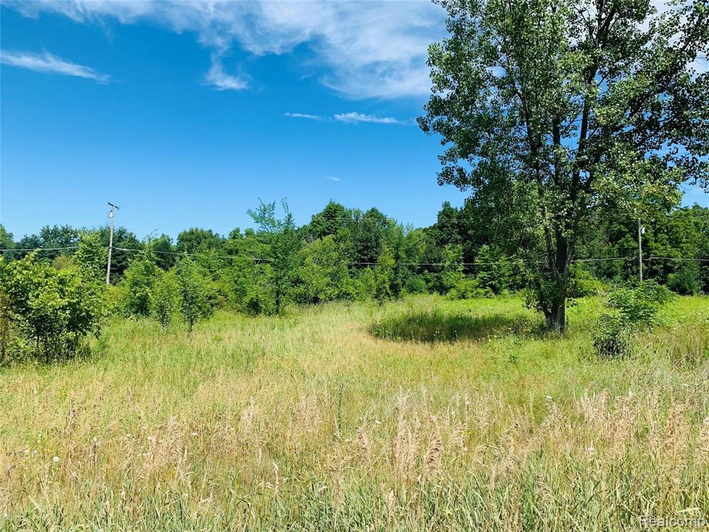 0 Warner Road Howell, MI 48855 - Photo 1 of 5