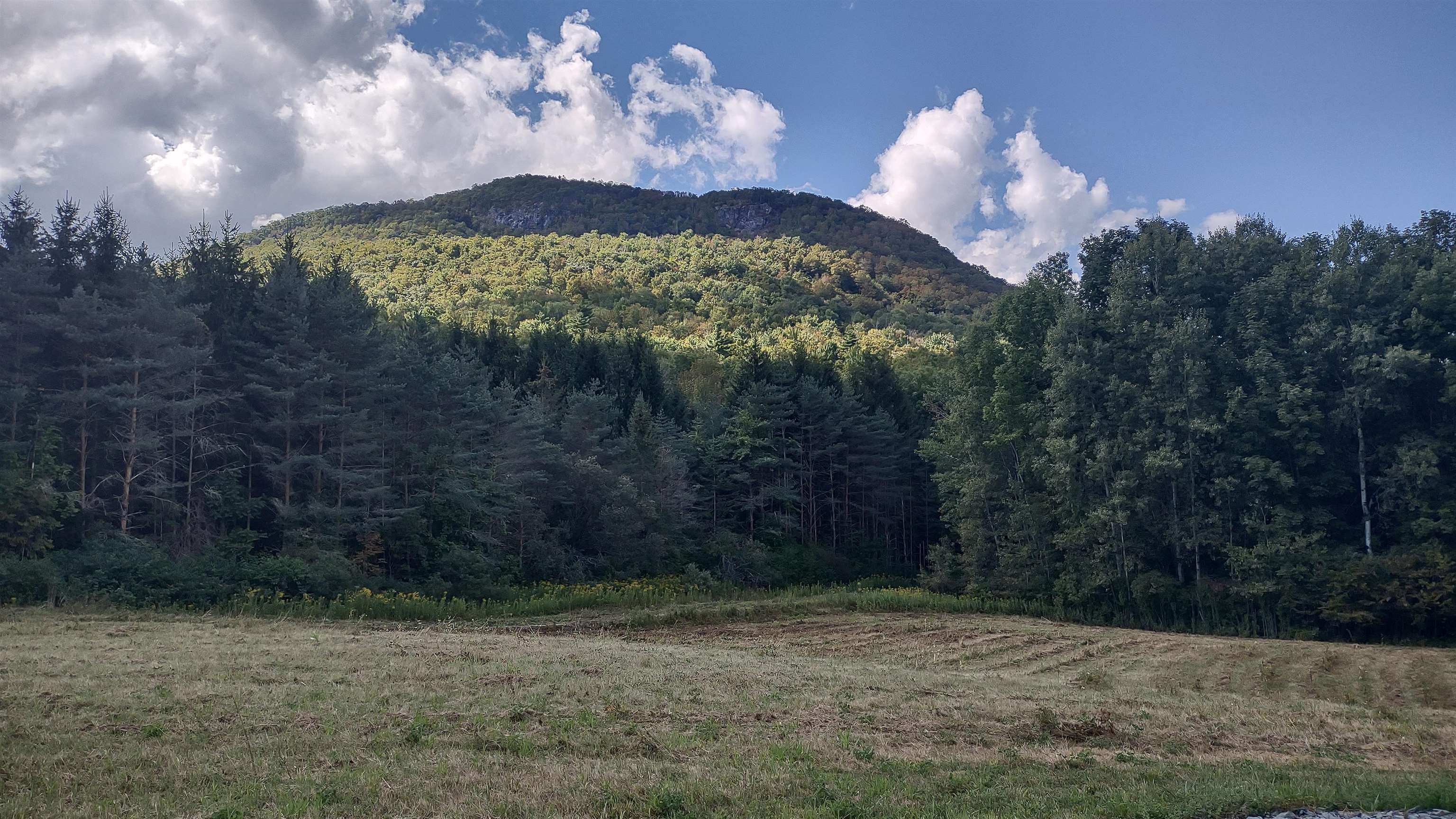 5 Ira Birdseye Road West Rutland, VT 05777 - Photo 6 of 24