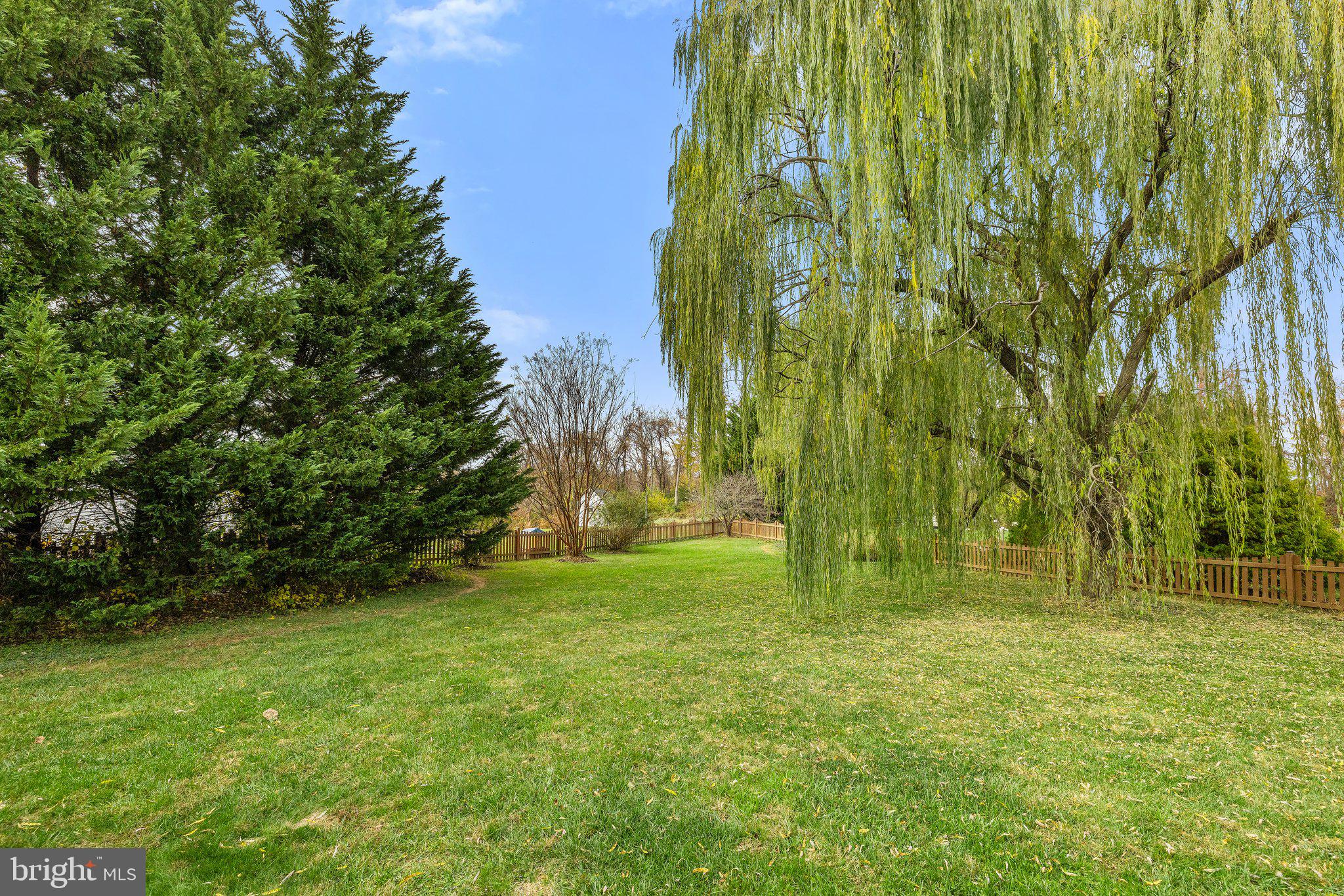 35470 Sassafras Drive Round Hill, VA 20141 - Photo 11 of 89