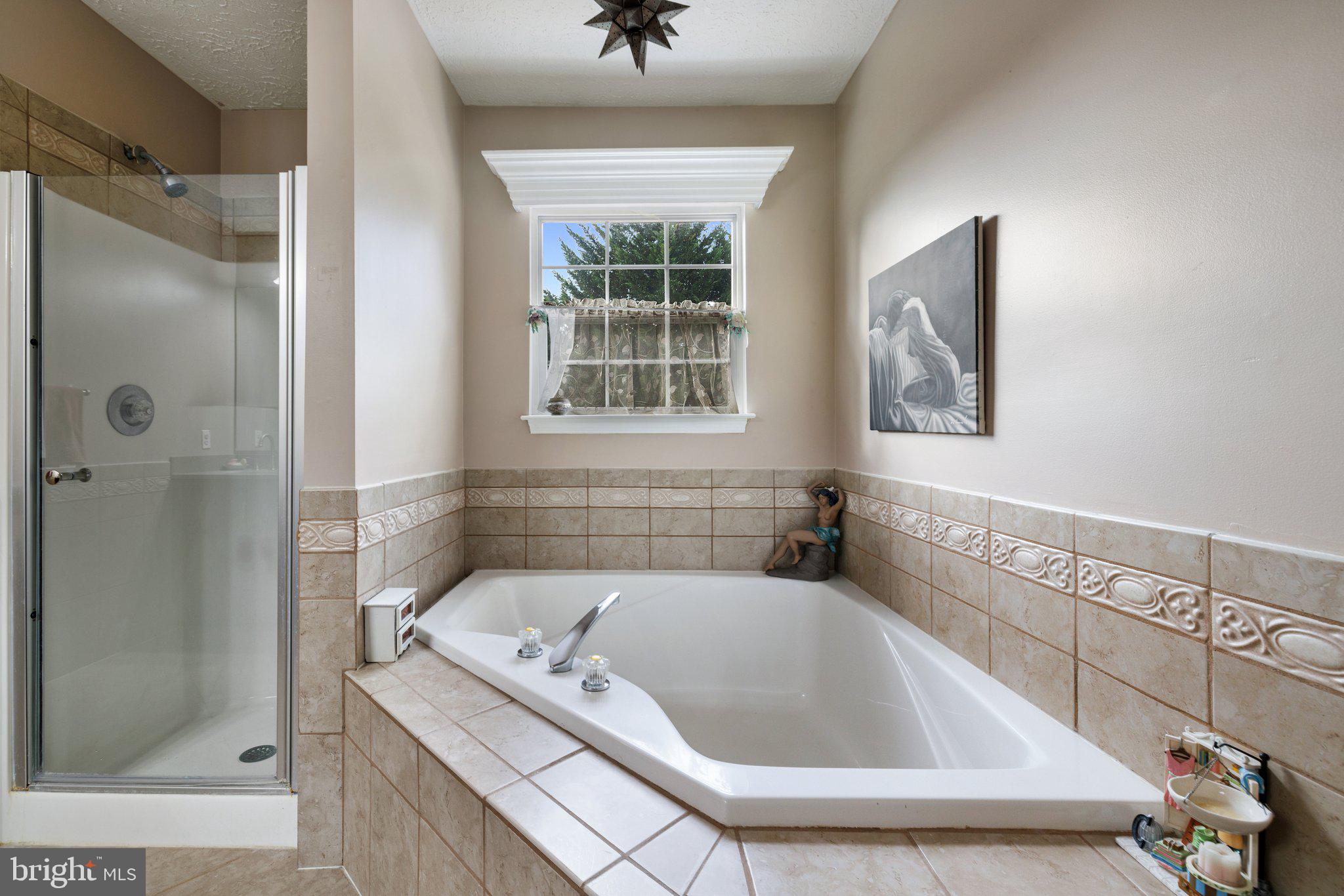 35470 Sassafras Drive Round Hill, VA 20141 - Photo 52 of 89