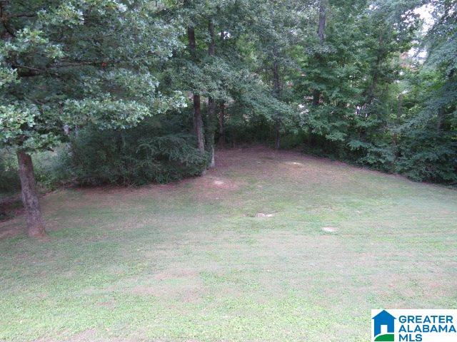2725 Aspen Lake Road Helena, AL 35022 - Photo 38 of 42